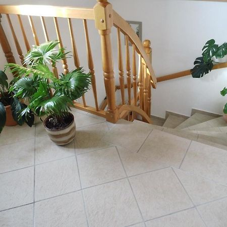 Ferienwohnung-Mund เดรสเดน ภายนอก รูปภาพ